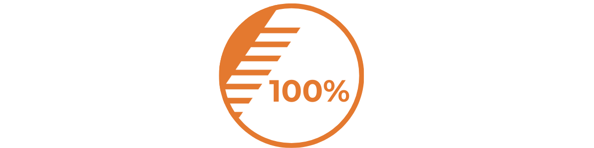 neon%20one%20hundred%20percent%20image.png